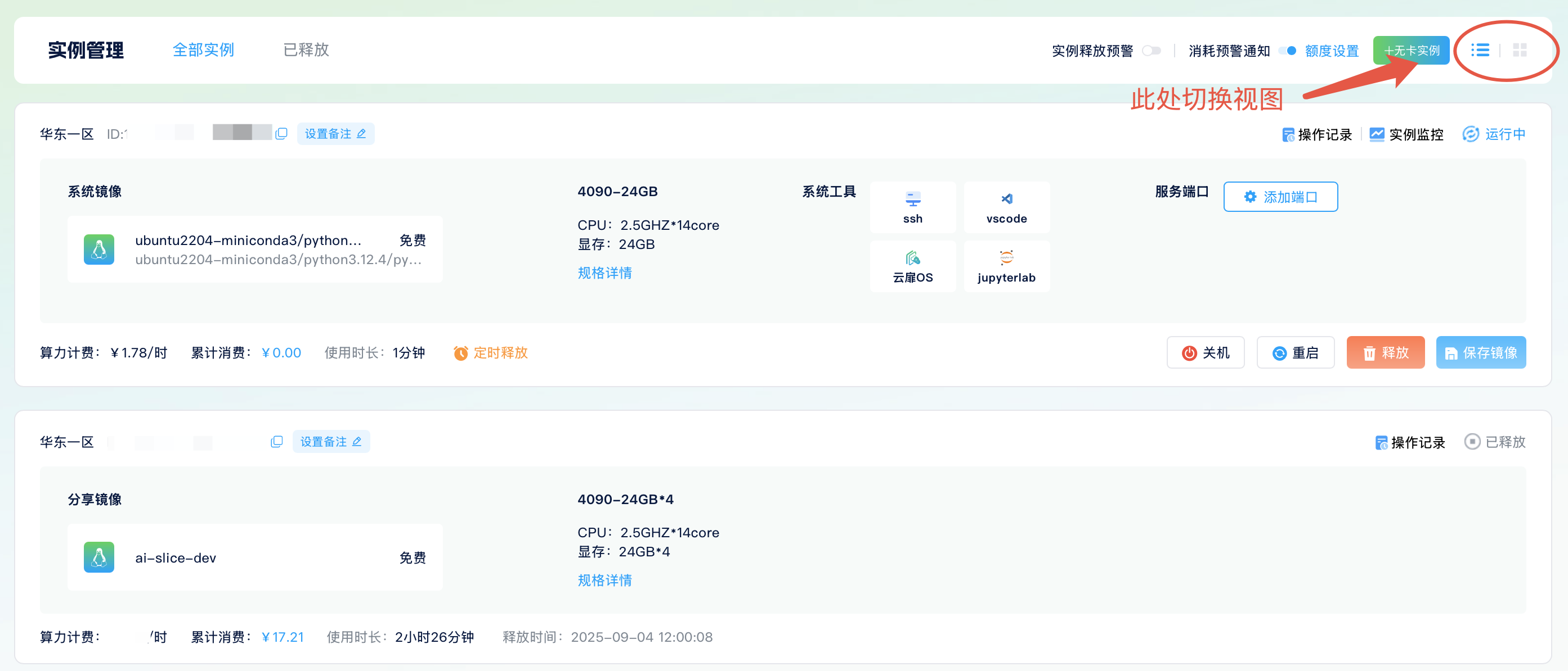 智算云扉实例列表 实例列表:专业/精简视图切换示例